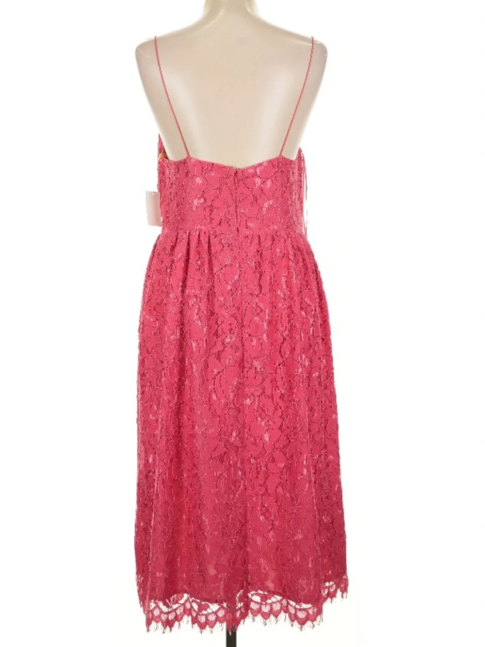 NWT CECE Terra Rose Sleeveless Lace Fitted Bodice Lined A-Line Dress Size 10
